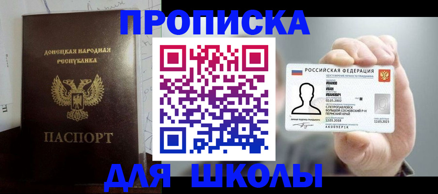 временная регистрация поиск в Павловске