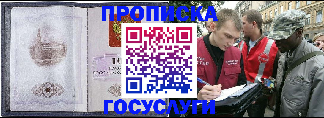 прописка 2025 в Павловске